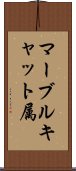 マーブルキャット属 Scroll