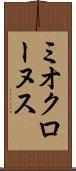 ミオクローヌス Scroll