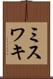 ミスワキ Scroll