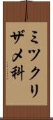 ミツクリザメ科 Scroll