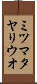 ミツマタヤリウオ Scroll