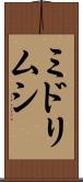 ミドリムシ Scroll