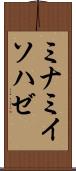 ミナミイソハゼ Scroll