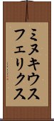 ミヌキウスフェリクス Scroll