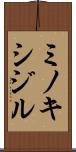 ミノキシジル Scroll