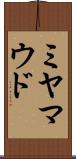 ミヤマウド Scroll