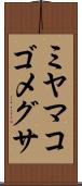 ミヤマコゴメグサ Scroll