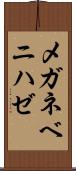 メガネベニハゼ Scroll