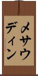メサウディン Scroll