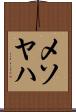 メソヤハ Scroll