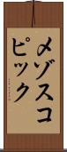 メゾスコピック Scroll