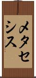 メタセシス Scroll