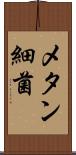 メタン細菌 Scroll