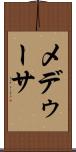 メデゥーサ Scroll