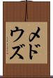 メドウズ Scroll