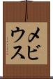 メビウス Scroll