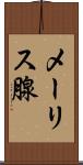 メーリス腺 Scroll