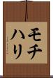 モチハリ Scroll