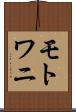 モトワニ Scroll