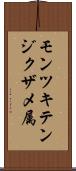 モンツキテンジクザメ属 Scroll