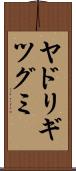 ヤドリギツグミ Scroll