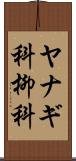 ヤナギ科 Scroll