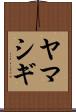 ヤマシギ Scroll