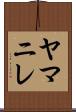ヤマニレ Scroll
