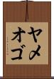 ヤメオゴ Scroll