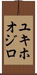 ユキホオジロ Scroll