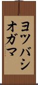 ヨツバシオガマ Scroll