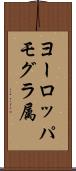 ヨーロッパモグラ属 Scroll