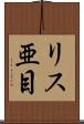 リス亜目 Scroll