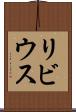 リビウス Scroll