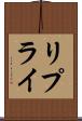 リプライ Scroll
