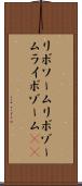 リボソーム Scroll