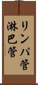 リンパ管 Scroll