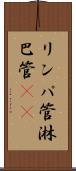リンパ管 Scroll
