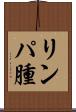 リンパ腫 Scroll