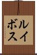 ルイボス Scroll
