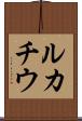 ルカチウ Scroll
