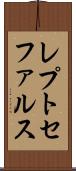 レプトセファルス Scroll