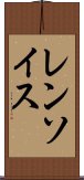 レンソイス Scroll