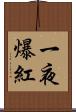 一夜爆紅 Scroll