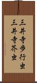 三井寺歩行虫 Scroll