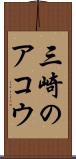 三崎のアコウ Scroll