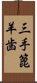 三手篦羊歯 Scroll