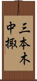 三本木中掫 Scroll