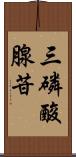 三磷酸腺苷 Scroll