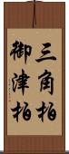 三角柏;御津柏 Scroll